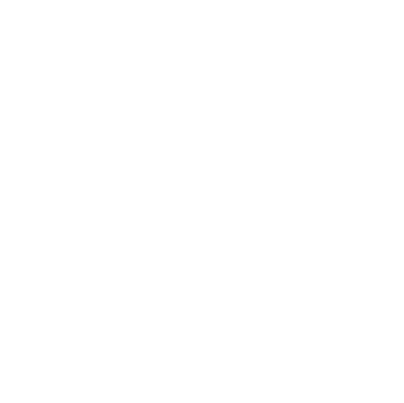 STORIN Logo